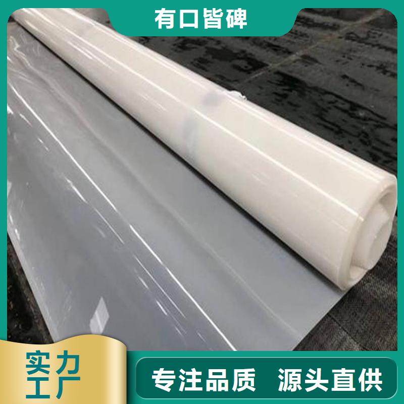 ​防水板钢塑土工格栅产地采购同城货源