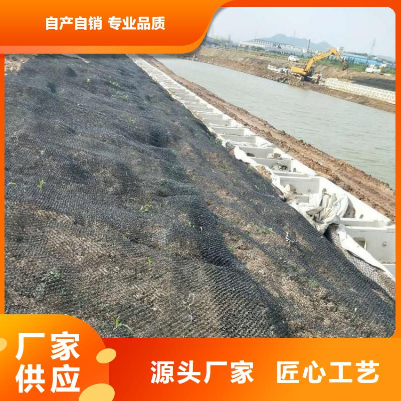 水土保护毯HDPE土工膜厂家自营为您提供一站式采购服务