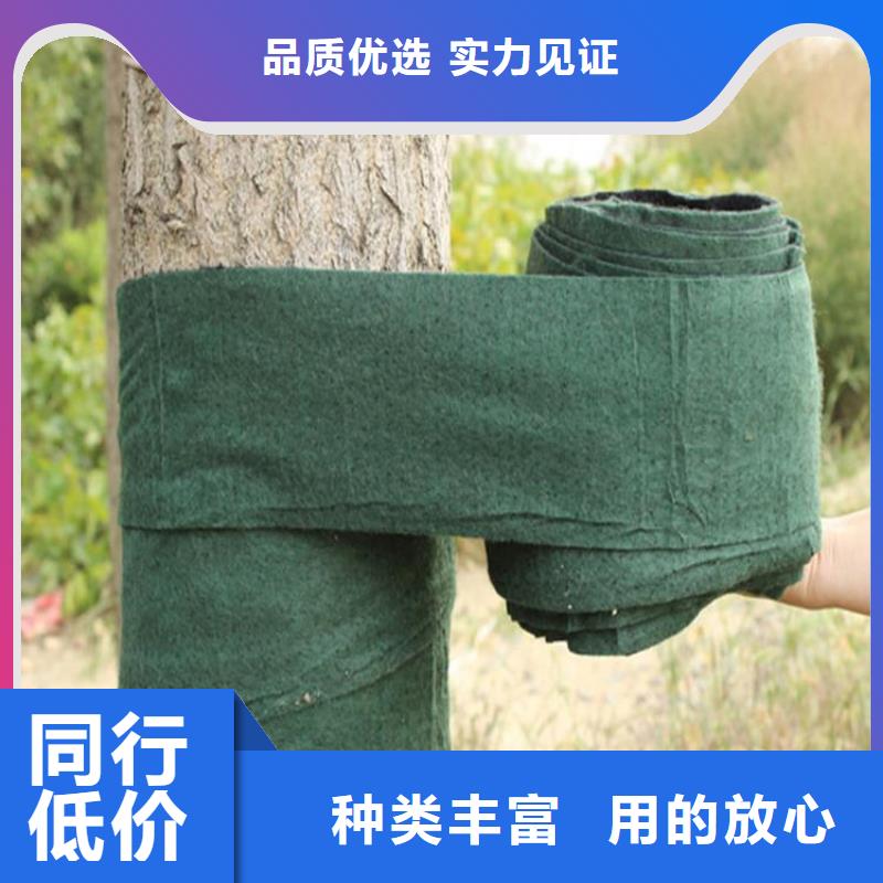 【裹树布玻璃纤维土工格栅款式新颖】送货上门