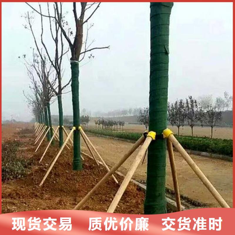 裹树布土工布价格有优势当地服务商
