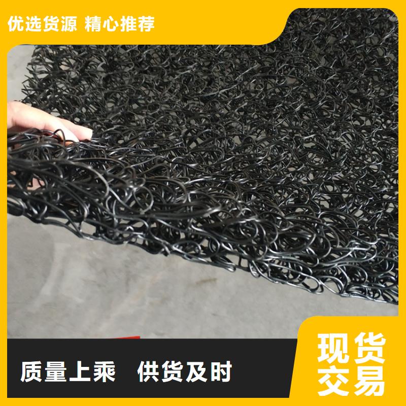 【土工席垫】土工格栅本地配送当地厂家