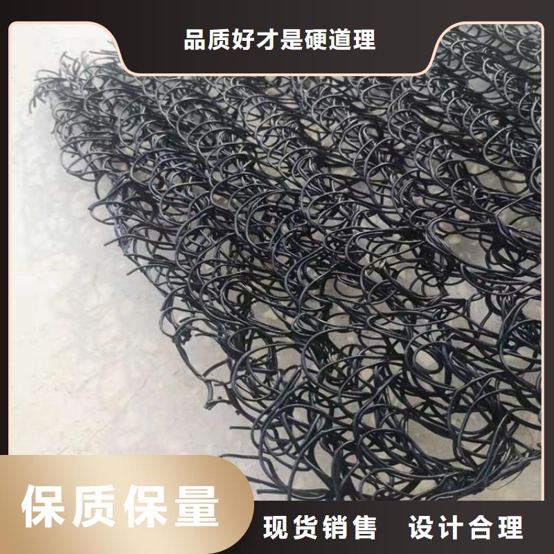 土工席垫HDPE土工膜品质保证实力见证本地生产厂家