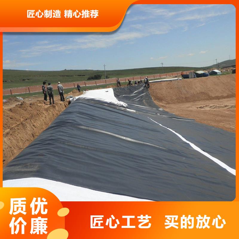 土工膜土工网垫根据要求定制产地直销