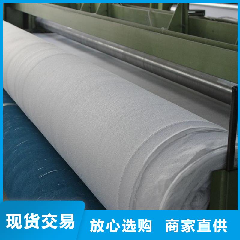 土工布【防水毯】工艺精细质保长久当地生产商