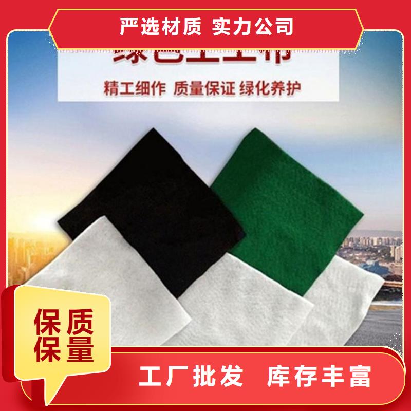 土工布多年行业经验实拍展现