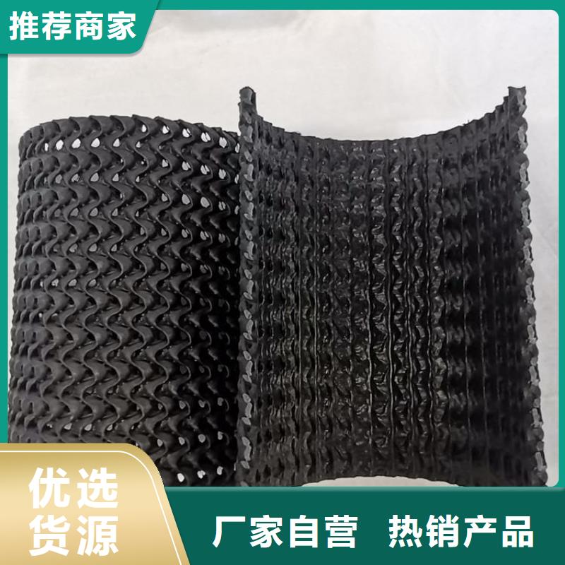 硬式透水管三维植被网为品质而生产同城经销商