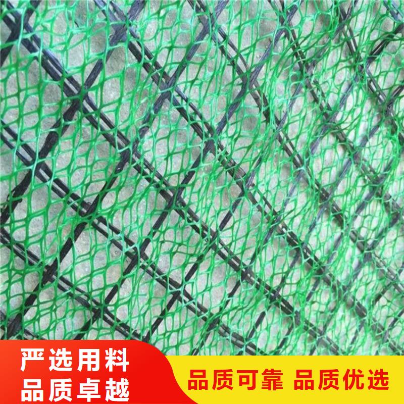 三维植被网,通风降噪丝网多种款式可随心选择当地经销商