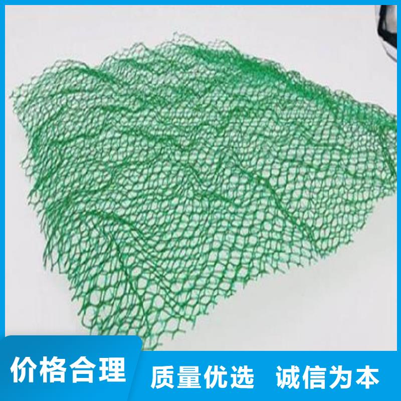 三维植被网_螺旋管满足多种行业需求当地制造商