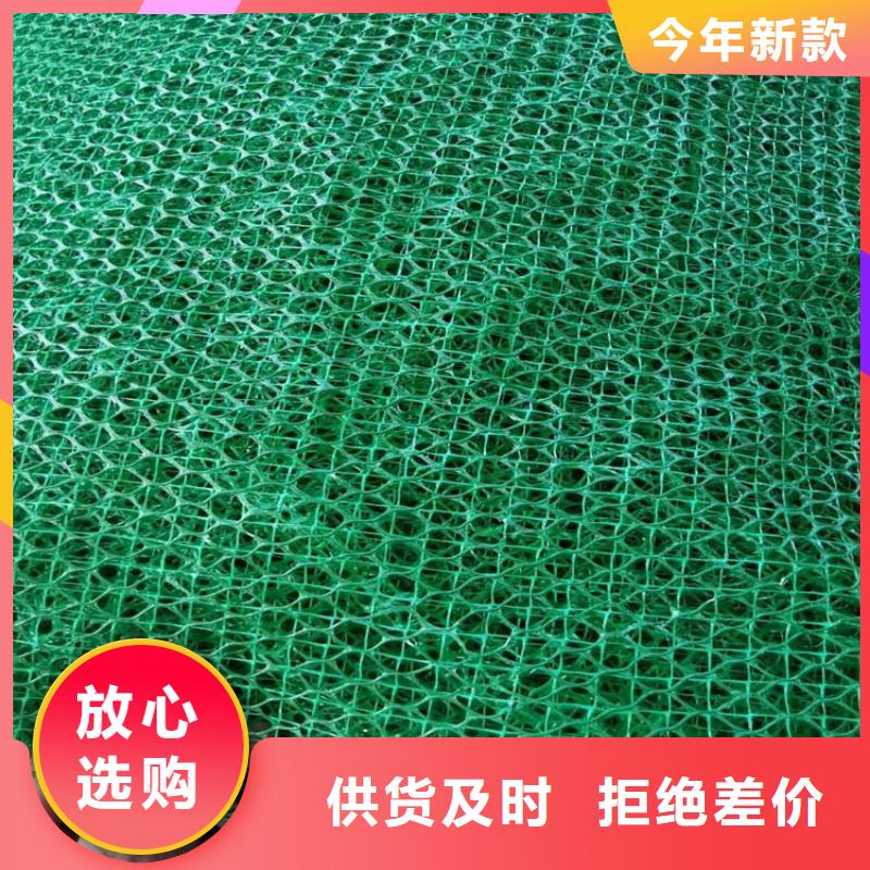 三维植被网土工格栅货源稳定当地公司