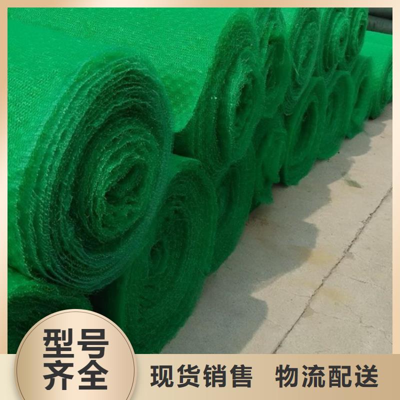 三维植被网土工格栅厂家销售本地品牌