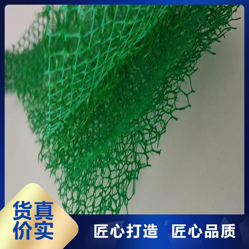 三维植被网矿用格栅优势的简单介绍