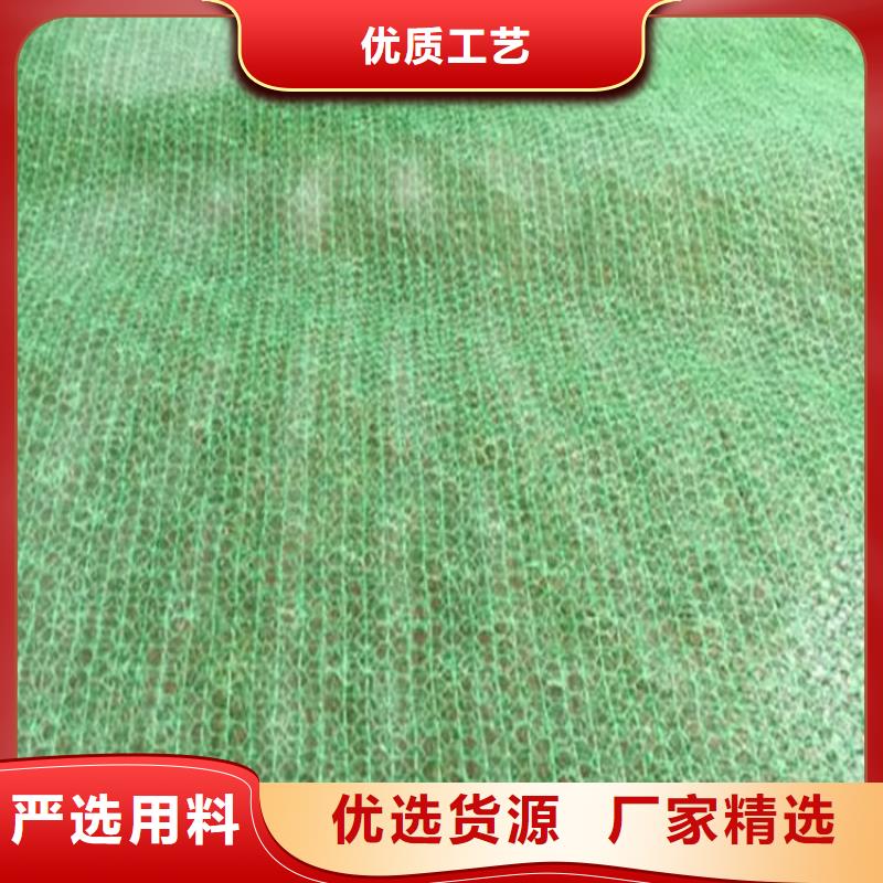 【三维植被网】,防裂贴常年出售实体厂家