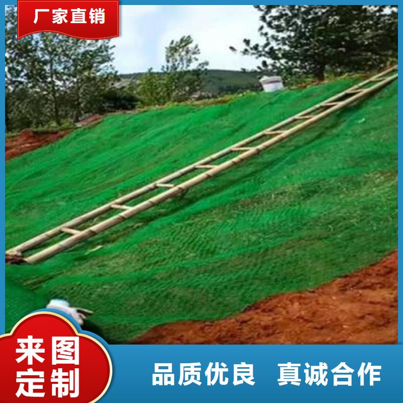三维植被网HDPE土工膜实力见证同城供应商