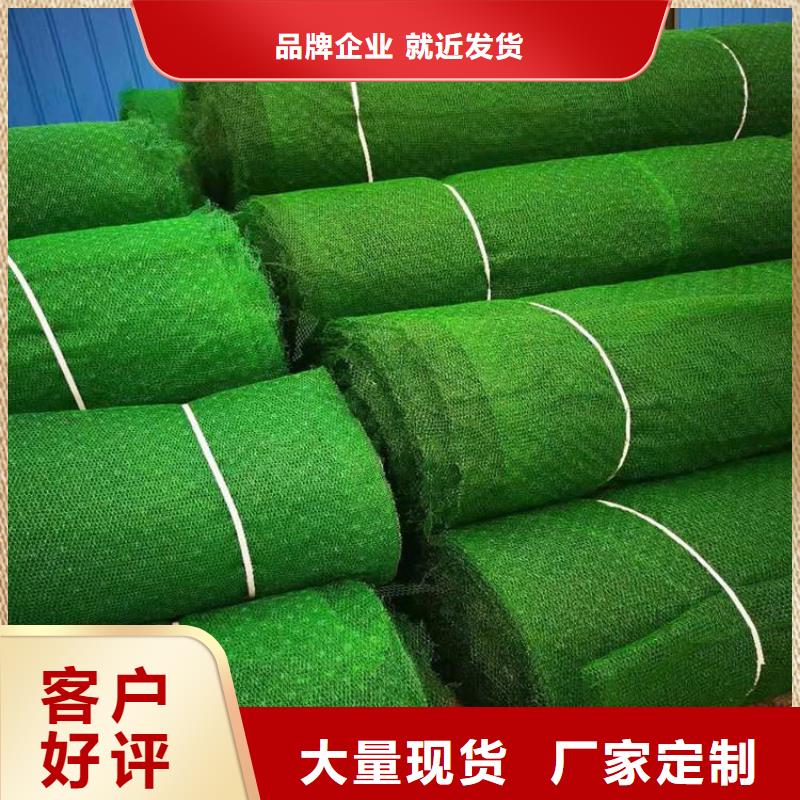 【三维植被网】土工膜保障产品质量同城生产商