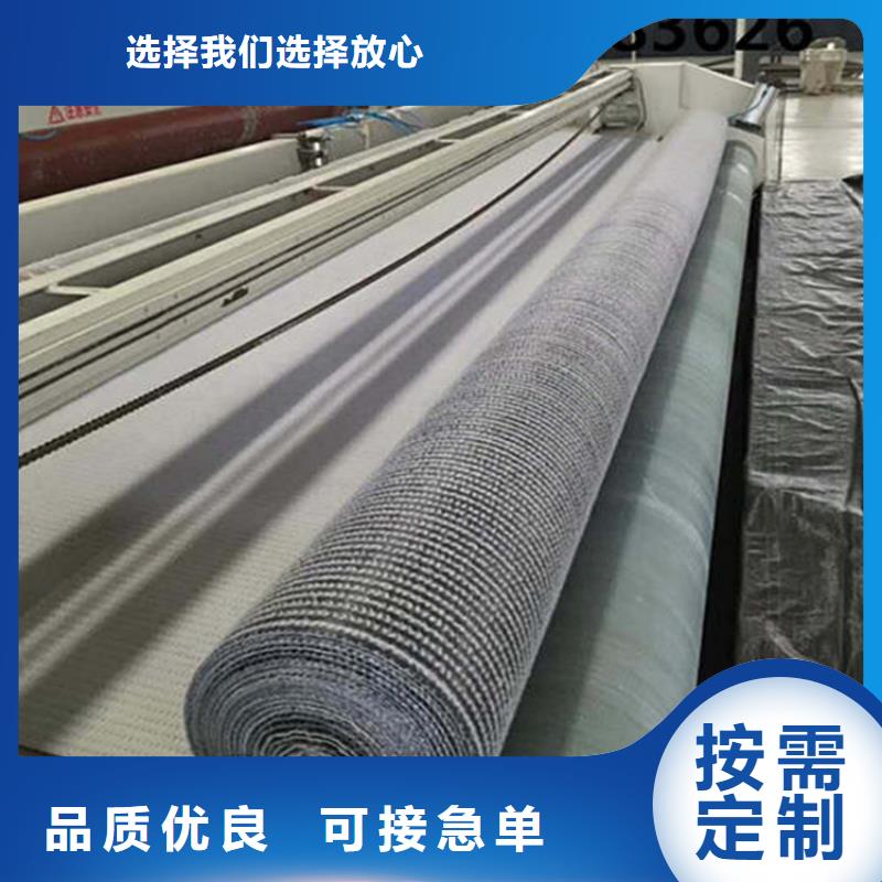 膨润土防水毯-土工格栅价格实在专业的生产厂家