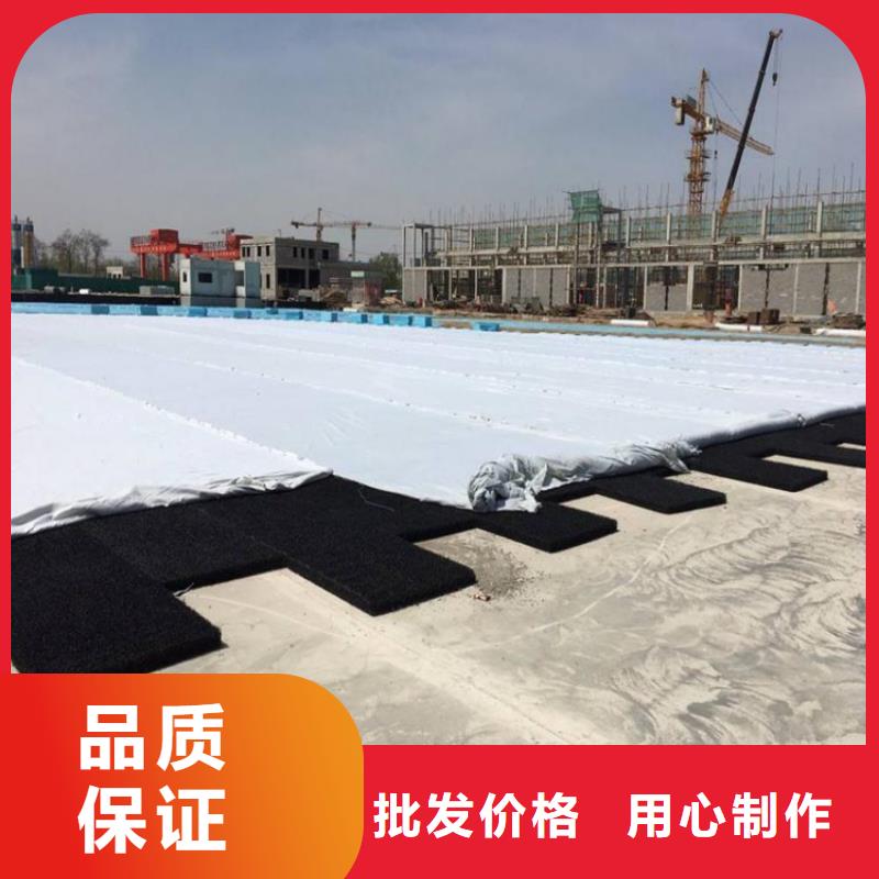 土工席垫_排水板放心购设计合理