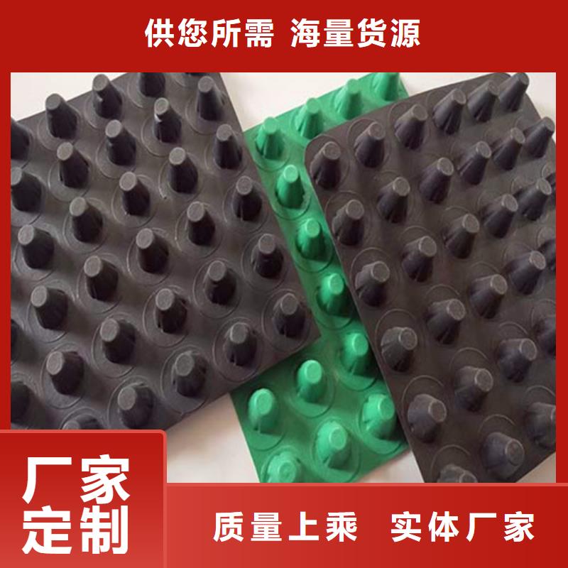 排水板植草格专业生产团队当地服务商