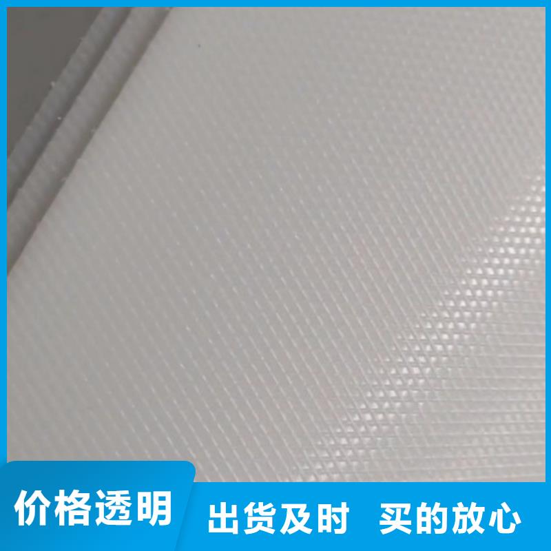 叉车推拉器塑料滑板氟胶条产品细节当地品牌