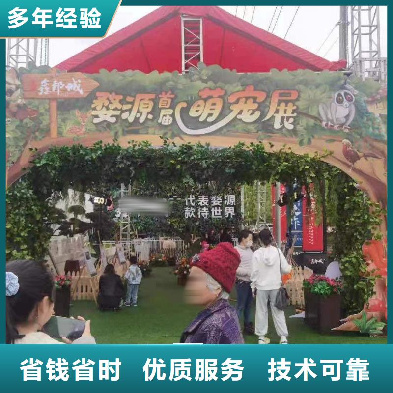 马戏团/羊驼-羊驼出租良好口碑同城生产商