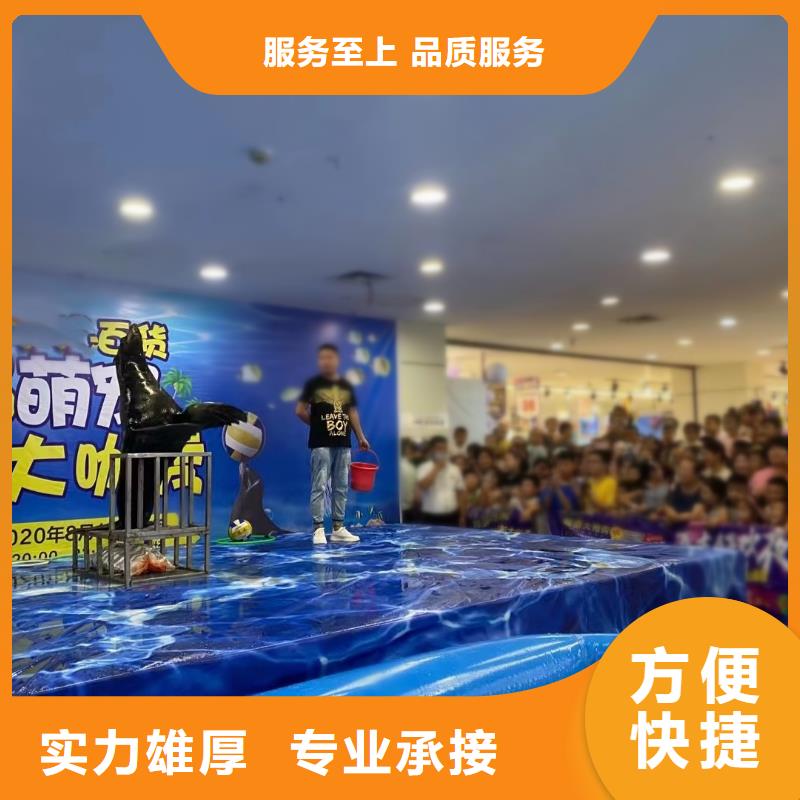 海洋主题动物表演-出租表演羊驼良好口碑品质卓越