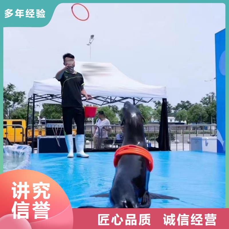 【海洋主题动物表演美人鱼表演高性价比】放心