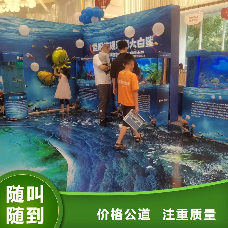 海洋主题动物表演-【马戏团表演出租租赁】放心之选精英团队
