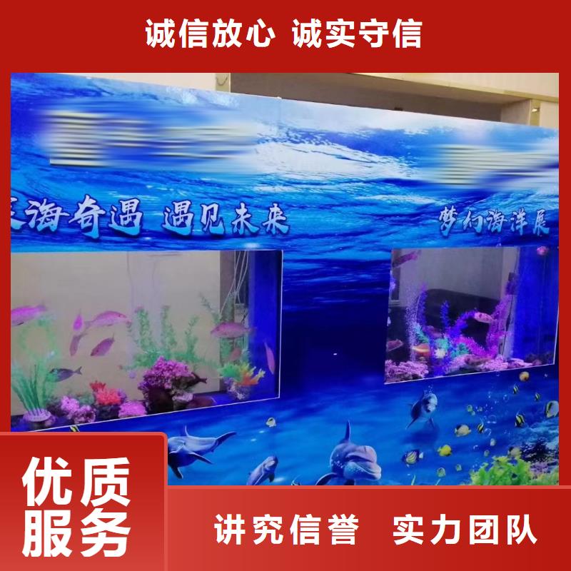 海洋主题动物表演马戏团表演随叫随到当地制造商