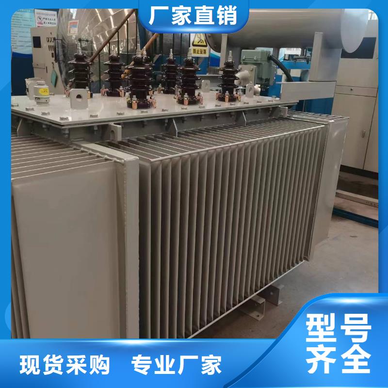 油浸式变压器80v变压器技术先进本地经销商