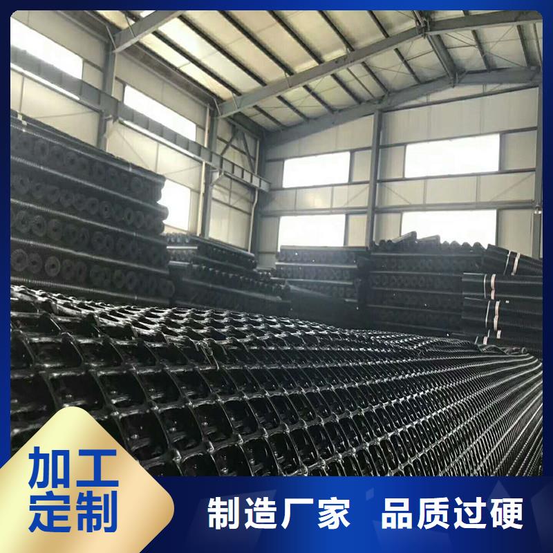 双向塑料土工格栅厂家直销当地公司
