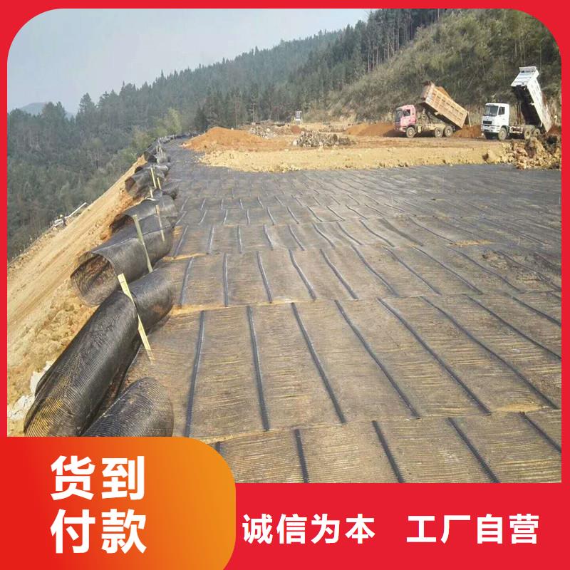 玻纤土工格栅厂家直供讲信誉保质量