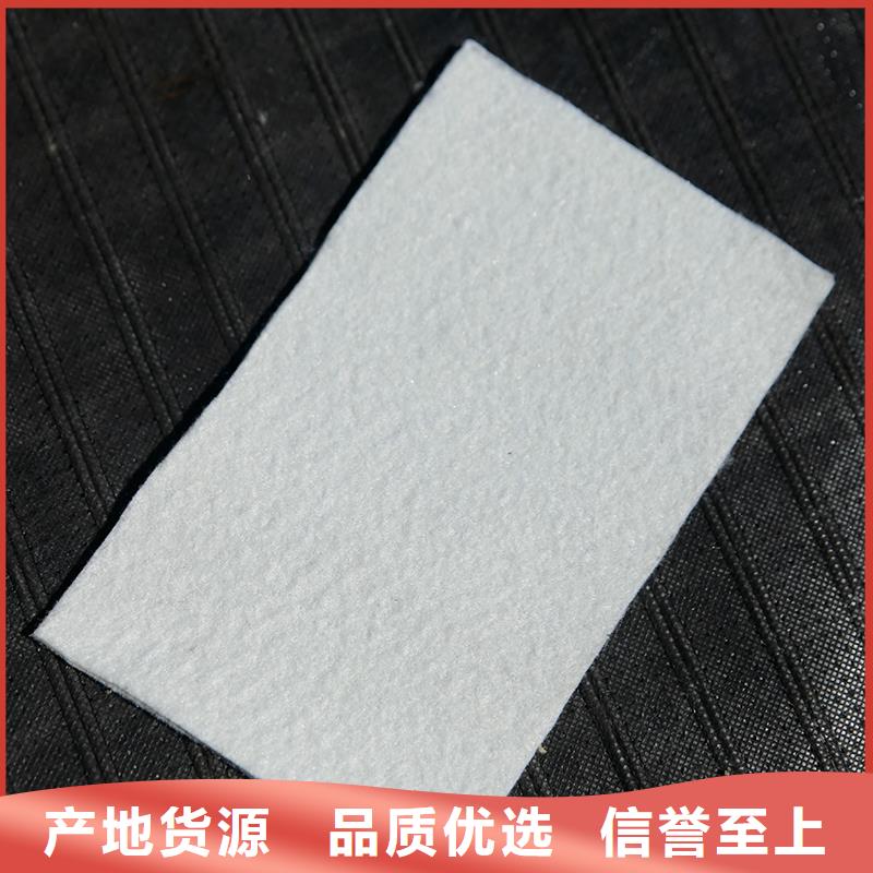 土工布【聚酯布】现货交易当地生产商