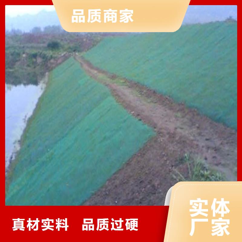【土工布】玻纤格栅厂家直发当地货源