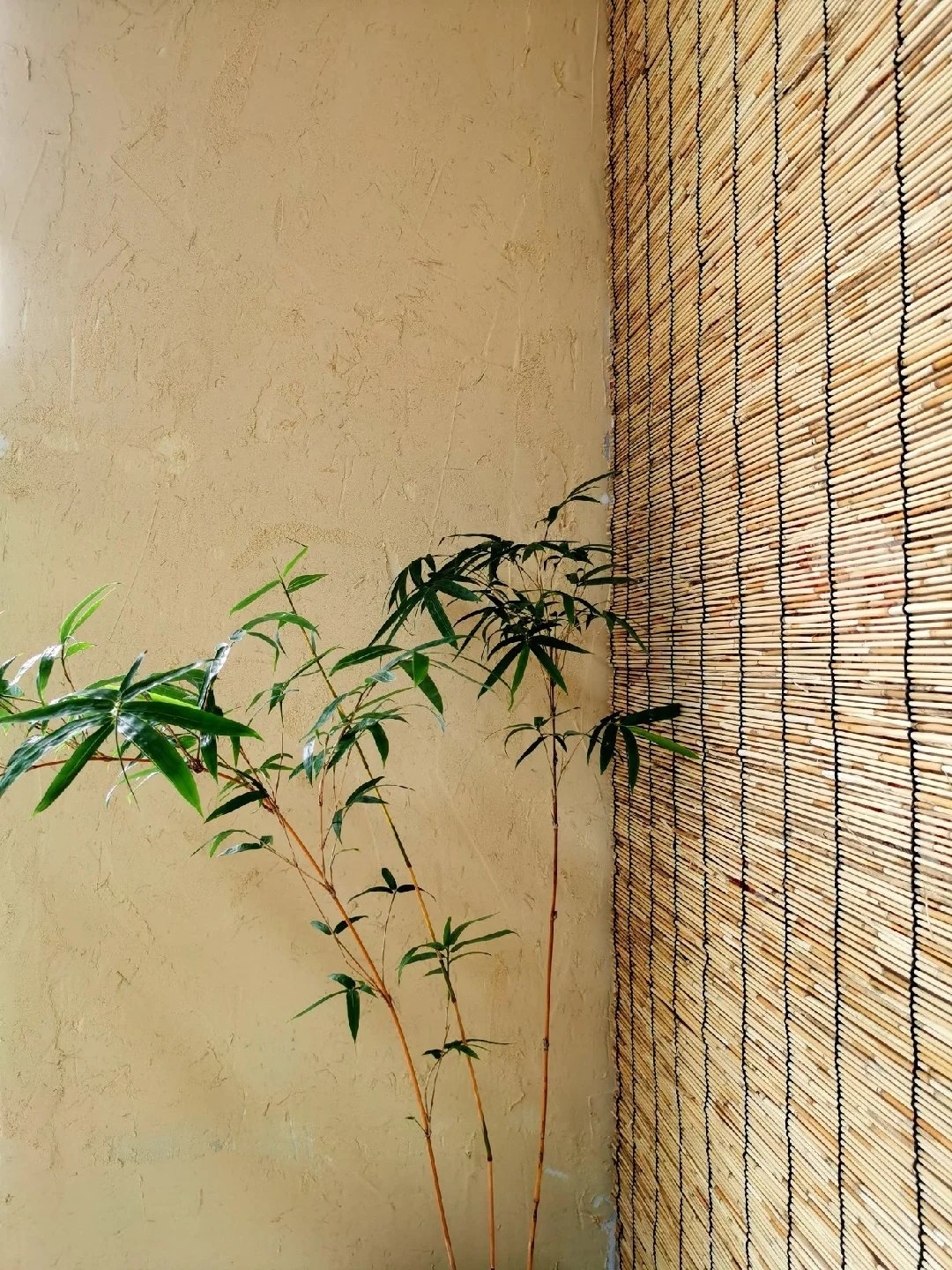 施工厂家户外稻草漆按需定制货源直供