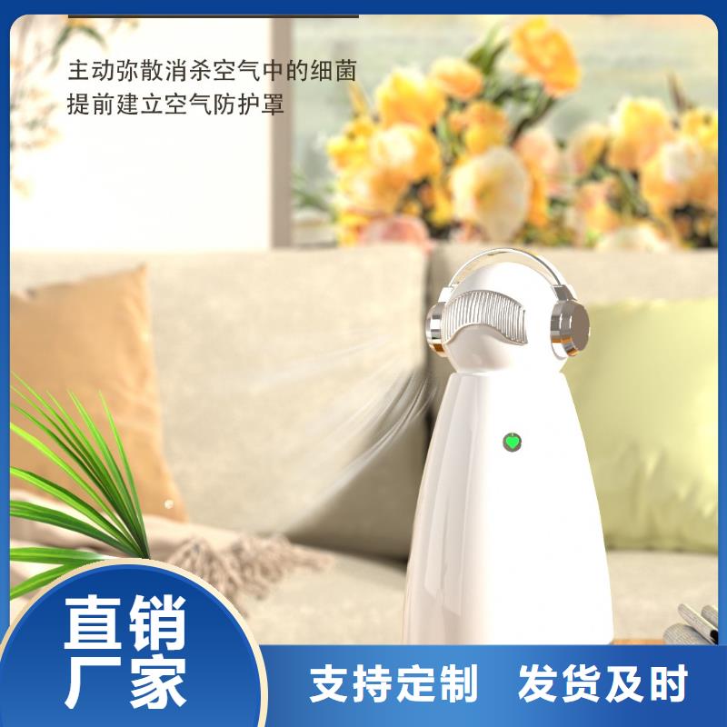 【小白祛味王】_小白祛味王批发价品种全实体厂家