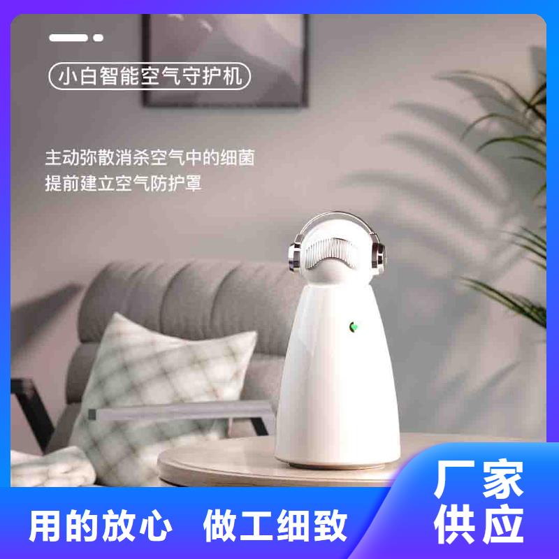 小白孕妇空气守护机销售小白祛味王使用方法本地货源