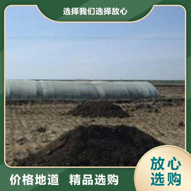 发酵鸡粪土壤肥力当地制造商