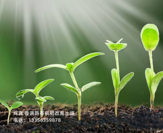 稻壳鸡粪需要的客户看过来