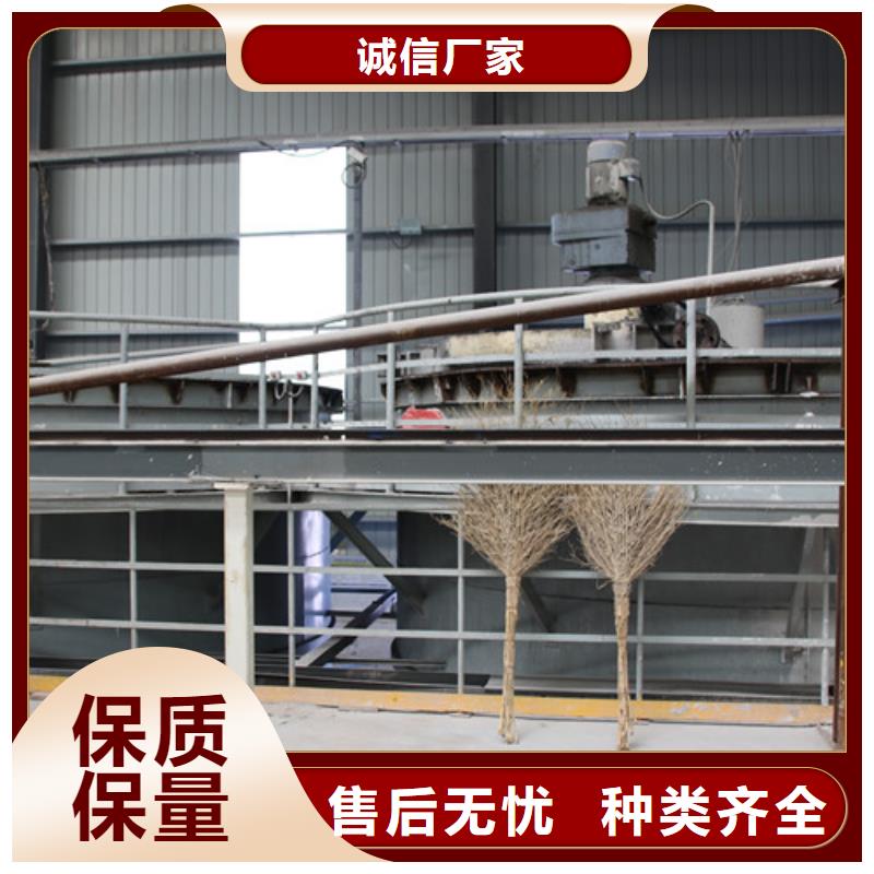 【ALC板材建材轻质隔墙板AAC板材】06AAC砌块优选厂商做工精细