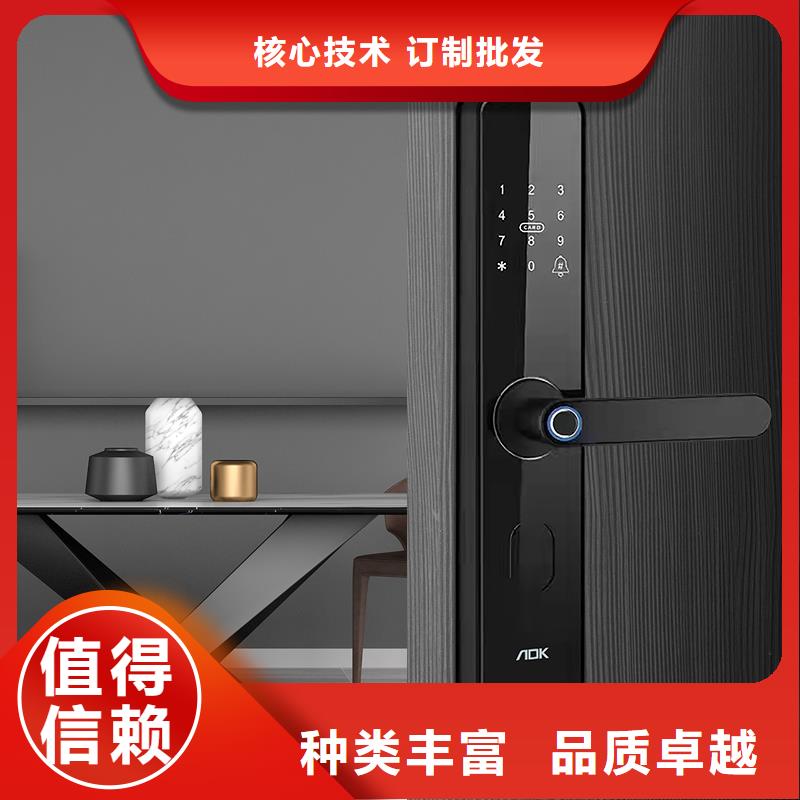 智能锁指纹锁销售经验丰富质量放心当地品牌