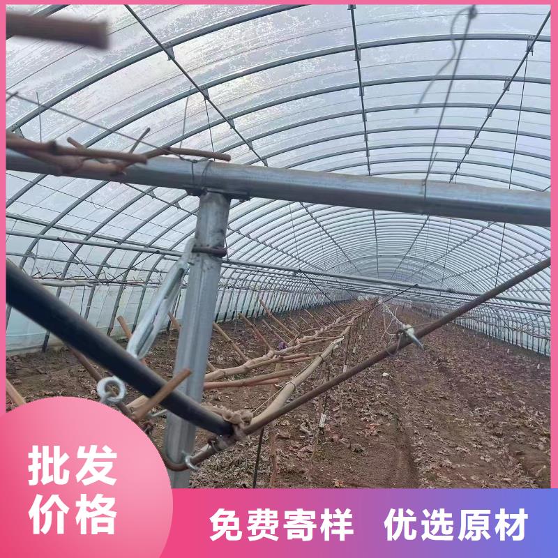 温室大棚光伏支架檩条多年厂家可靠同城厂家