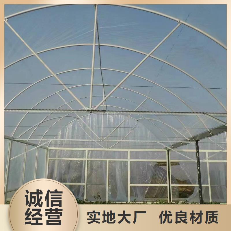 双膜大棚葡萄加工本地经销商