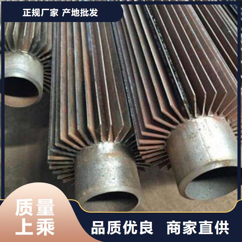双L型翅片管同城服务商