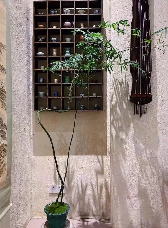 仿泥巴墙稻草漆厂家施工，经验丰富同城品牌