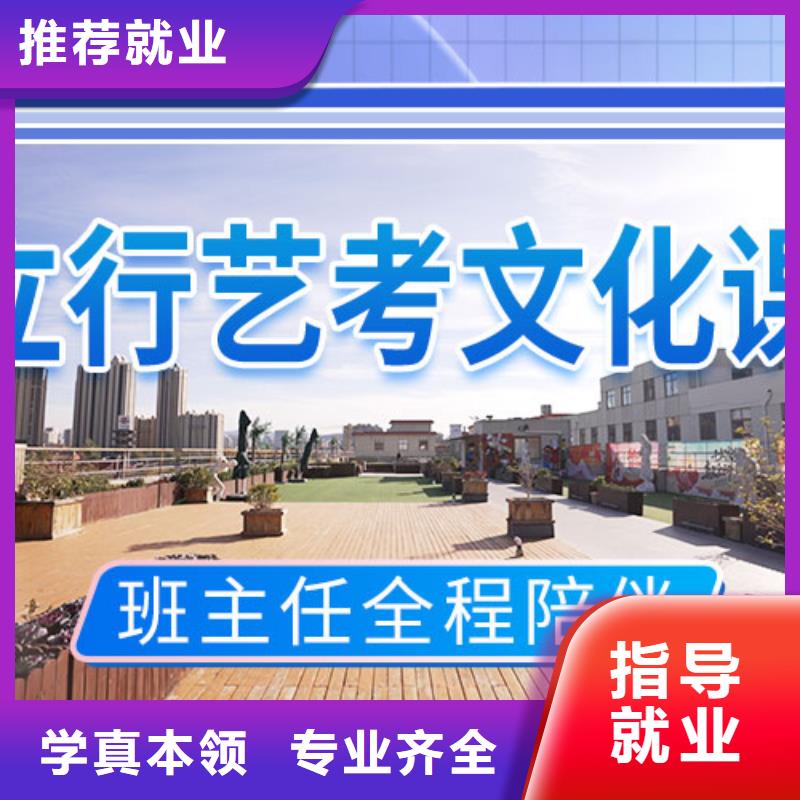 艺考文化课集训-高考语文辅导随到随学课程多样