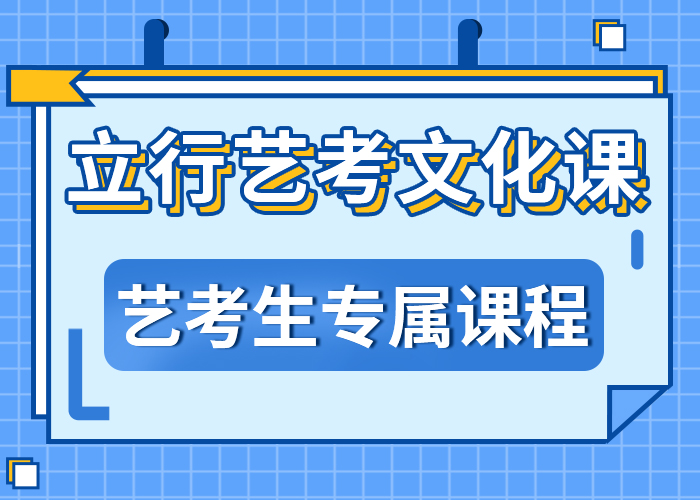 艺考生文化课高考语文辅导手把手教学师资力量强