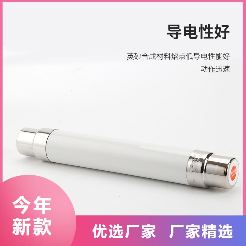 RN1-3/40单管高压熔断器来图定制