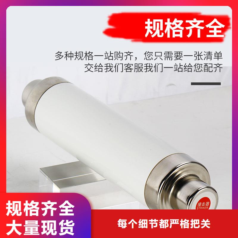 XRNP1-12KV/0.5A熔断器当地公司