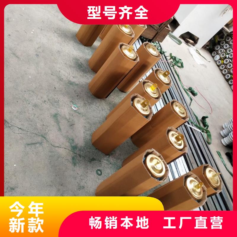 YH10W5-102/266GY高原型氧化锌避雷器用好材做好产品