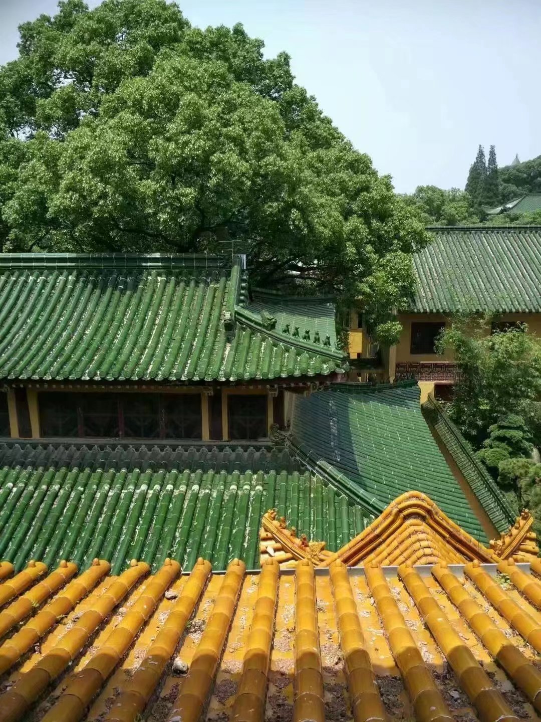 金属屋面防水【淤泥改性固化剂】敢与同行比服务现货直发