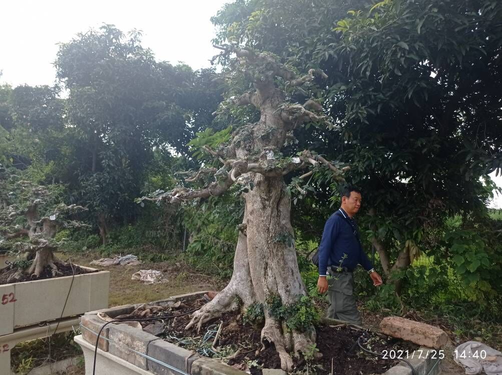 道桥防水防腐涂料喷涂聚脲防腐防水维修预算本地品牌